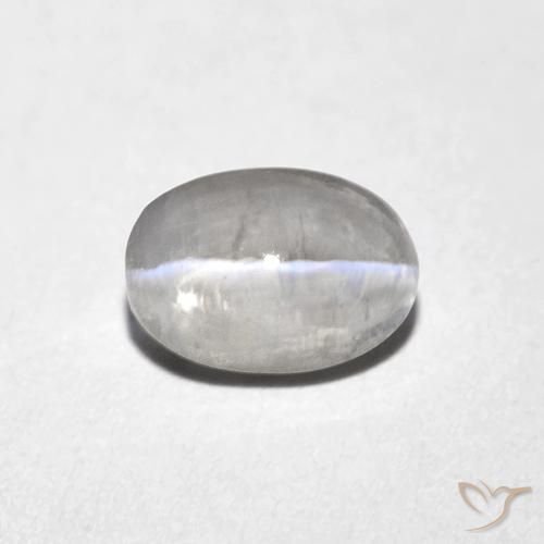 1.10ct 자연스러운 매우 밝은 회색 실리마나이트 고양이 눈, 타원형, 투명한