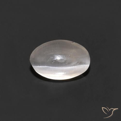 0.68ct 자연스러운 매우 밝은 회색 실리마나이트 고양이 눈, 타원형, 투명한