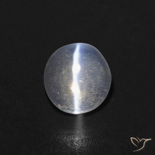 0.85ct 자연스러운 분명한 실리마나이트 고양이 눈, 타원형, 투명한