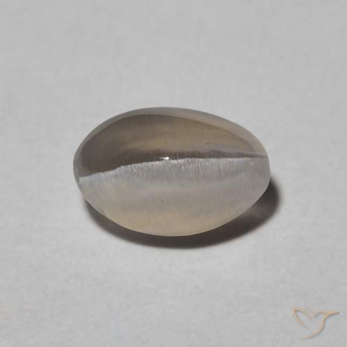 0.97ct 자연스러운 Warm Grey 실리마나이트 고양이 눈, 타원형, 투명한