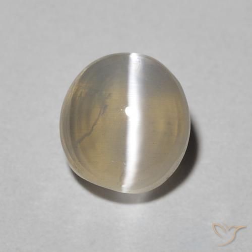 1.49ct 자연스러운 Warm Grey 실리마나이트 고양이 눈, 타원형, 투명한