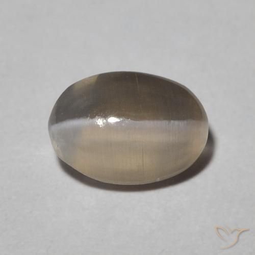 1.09ct 자연스러운 Warm Grey 실리마나이트 고양이 눈, 타원형, 투명한