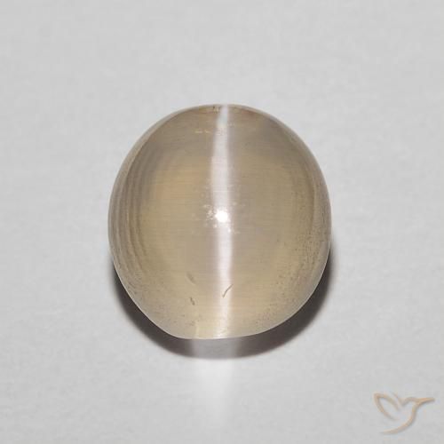 1.43ct 자연스러운 연노랑 실리마나이트 고양이 눈, 타원형, 투명한