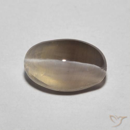 1.20ct 자연스러운 에스프레소 브라운 실리마나이트 고양이 눈, 타원형, 투명한