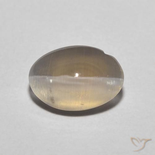 1.11ct 자연스러운 뉴트럴 브라운 실리마나이트 고양이 눈, 타원형, 투명한