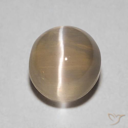 0.86ct 자연스러운 미디엄 브라운 실리마나이트 고양이 눈, 타원형, 투명한
