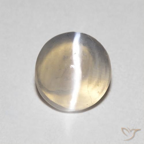 0.79ct 자연스러운 라이트 또띠아 브라운 실리마나이트 고양이 눈, 타원형, 투명한