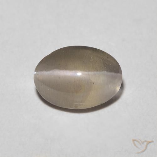0.92ct 자연스러운 라이트 또띠아 브라운 실리마나이트 고양이 눈, 타원형, 투명한