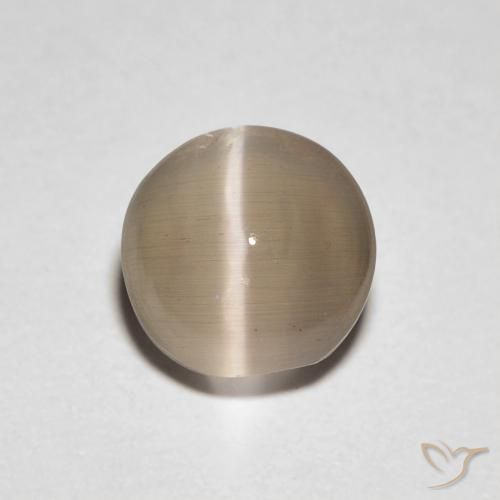 1.39ct 자연스러운 웜 라이트 브라운 실리마나이트 고양이 눈, 타원형, 투명한