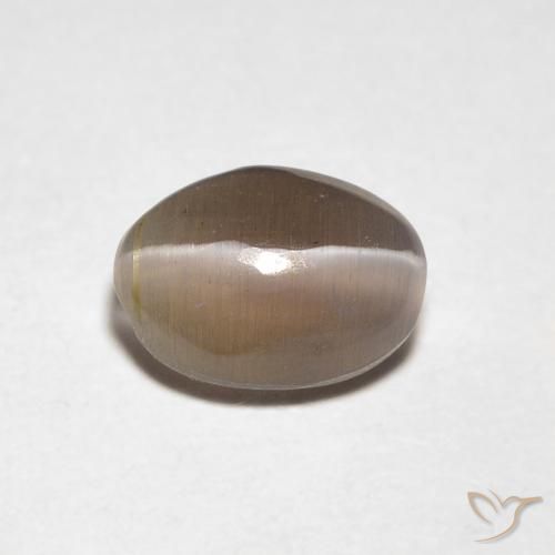 0.88ct 자연스러운 미디엄 브라운 실리마나이트 고양이 눈, 타원형, 투명한
