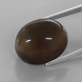 32.19캐럿 천연 스모키 브라운 스모키 쿼츠, 투명한, 29.1×17.7 mm, 투명/반투명