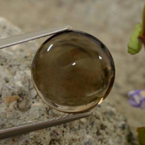 5.63캐럿 천연 Chocolate Brown  스모키 쿼츠, 라운드 컷, 11.92 mm, 투명한