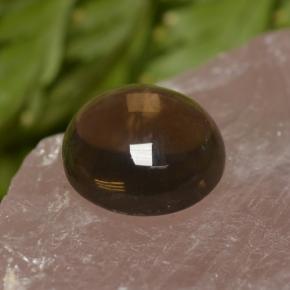 6.82캐럿 천연 Chocolate Brown  스모키 쿼츠, 라운드 컷, 12.07 mm, 투명한