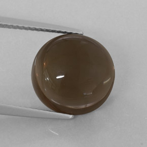 7.52캐럿 천연 Chocolate Brown  스모키 쿼츠, 투명한, 12.18 mm, 투명/반투명