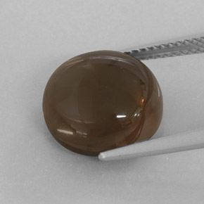 7.52캐럿 천연 Chocolate Brown  스모키 쿼츠, 투명한, 12.18 mm, 투명/반투명