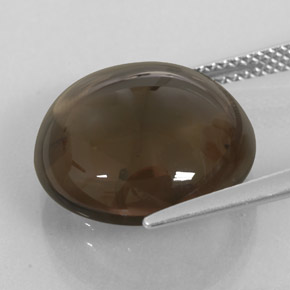 11.68캐럿 천연 스모키 브라운 스모키 쿼츠, 투명한, 15.06 mm, 투명/반투명