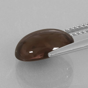 3.06캐럿 천연 스모키 브라운 스모키 쿼츠, 타원형 컷, 11.1×8.8 mm, 투명한
