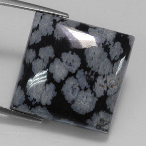20.36캐럿 천연 그레이 화이트 블랙 스노우플레이크 옵시디언, 스퀘어, 19.9×19.8 mm, 불투명체