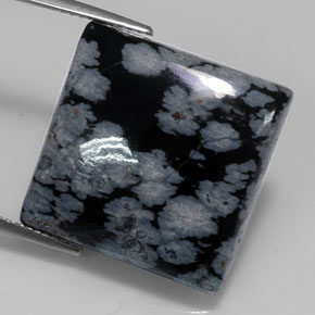 20.19캐럿 천연 그레이 화이트 블랙 스노우플레이크 옵시디언, 스퀘어, 19.8×19.8 mm, 불투명체