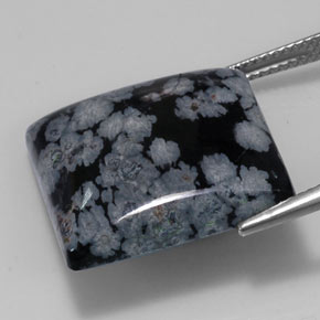 20.19캐럿 천연 그레이 화이트 블랙 스노우플레이크 옵시디언, 스퀘어, 19.8×19.8 mm, 불투명체