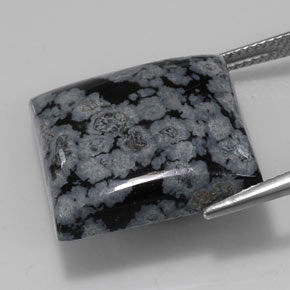 22.67캐럿 천연 그레이 화이트 블랙 스노우플레이크 옵시디언, 스퀘어, 19.7×19.5 mm, 불투명체