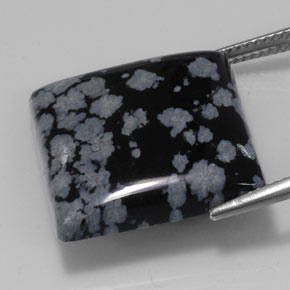 20.43캐럿 천연 블랙 화이트 스노우플레이크 옵시디언, 스퀘어, 20×19.8 mm, 불투명체