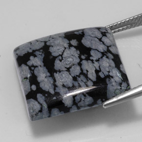 22.48캐럿 천연 블랙 화이트 스노우플레이크 옵시디언, 스퀘어, 20×20 mm, 불투명체