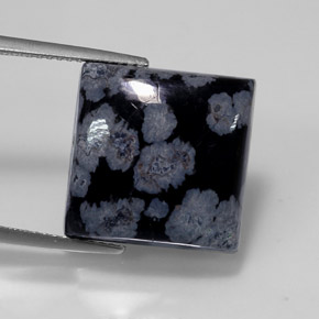 12.55캐럿 천연 그레이 화이트 블랙 스노우플레이크 옵시디언, 스퀘어, 15.1×15.1 mm, 불투명체