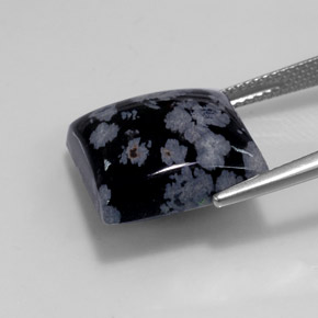 11.52캐럿 천연 블랙 화이트 스노우플레이크 옵시디언, 스퀘어, 14.9×14.9 mm, 불투명체
