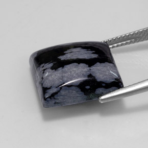 11.19캐럿 천연 그레이 화이트 블랙 스노우플레이크 옵시디언, 스퀘어, 14.9×14.9 mm, 불투명체