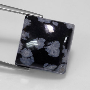 11.46캐럿 천연 블랙 화이트 스노우플레이크 옵시디언, 스퀘어, 14.9×14.9 mm, 불투명체