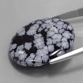 27.54캐럿 천연 회백색 검정 눈송이 흑요석, 라운드 컷, 불투명체