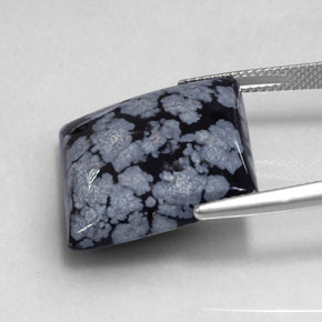 19.17캐럿 천연 그레이 화이트 블랙 스노우플레이크 옵시디언, 스퀘어, 19.9×19.7 mm, 불투명체
