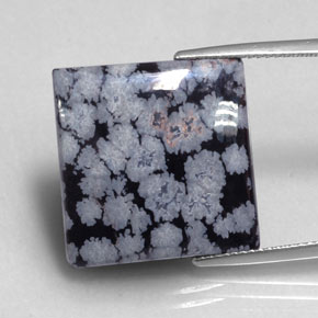 16.12캐럿 천연 그레이 화이트 블랙 스노우플레이크 옵시디언, 스퀘어, 19.3×18.7 mm, 불투명체