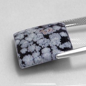 16.12캐럿 천연 그레이 화이트 블랙 스노우플레이크 옵시디언, 스퀘어, 19.3×18.7 mm, 불투명체