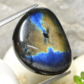 9.04캐럿 천연 멀티컬러 스펙트롤라이트, 멋진 모양, 18×14.5 mm, 불투명체