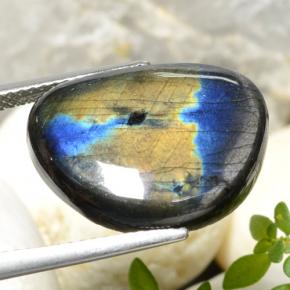 9.04캐럿 천연 멀티컬러 스펙트롤라이트, 멋진 모양, 18×14.5 mm, 불투명체