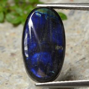 4.55캐럿 천연 멀티컬러 스펙트롤라이트, 타원형 컷, 16.7×9.5 mm, 불투명체