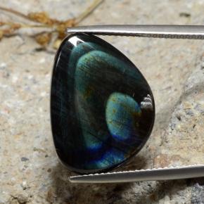 9.82캐럿 천연 다색 스펙트롤라이트, 멋진 모양, 불투명체