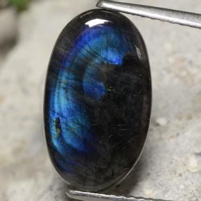 3.27캐럿 천연 멀티컬러 스펙트롤라이트, 타원형 컷, 15.8×9.4 mm, 불투명체