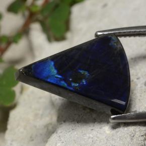7.77캐럿 천연 멀티컬러 스펙트롤라이트, 트릴리언, 19.7×14.5 mm, 불투명체
