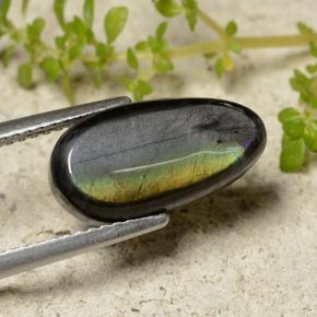 4.09캐럿 천연 멀티컬러 스펙트롤라이트, 배 모양, 14.8×7.7 mm, 불투명체