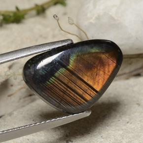 5.66캐럿 천연 멀티컬러 스펙트롤라이트, 멋진 모양, 17.2×11.4 mm, 불투명체