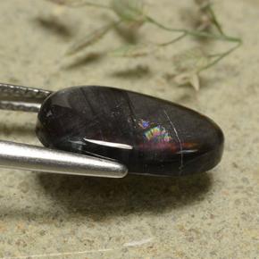 3.17캐럿 천연 멀티컬러 스펙트롤라이트, 타원형 컷, 13.5×8.4 mm, 불투명체
