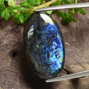 12.54캐럿 천연 멀티컬러 스펙트롤라이트, 타원형 컷, 23.8×14 mm, 불투명체