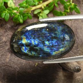12.54캐럿 천연 멀티컬러 스펙트롤라이트, 타원형 컷, 23.8×14 mm, 불투명체