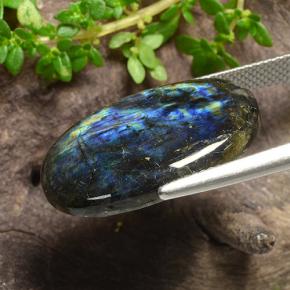 12.54캐럿 천연 멀티컬러 스펙트롤라이트, 타원형 컷, 23.8×14 mm, 불투명체