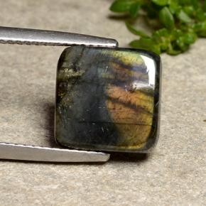 4.43캐럿 천연 멀티컬러 스펙트롤라이트, 스퀘어, 10.7×10.6 mm, 불투명체