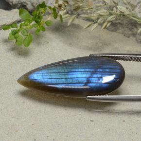 14.09캐럿 천연 다색 스펙트롤라이트, 배 모양, 투명한