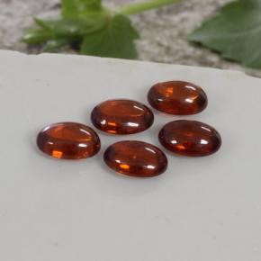 4.97캐럿 천연 붉은빛 오렌지 스페사르타이트 가넷 보석, 투명한, 6.5×4.7 mm, 투명/반투명